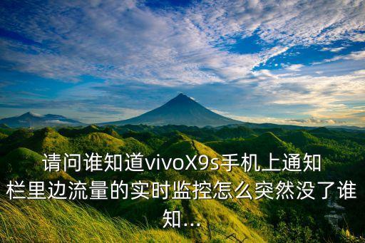 vivox9s怎么打開數(shù)據(jù)