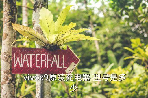  vivox9原裝充電器 型號是多少