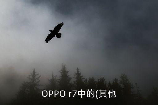 OPPO r7中的(其他