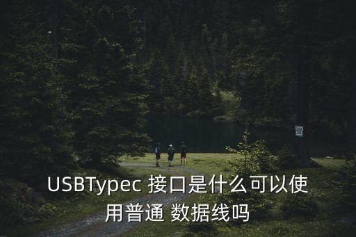 USBTypec 接口是什么可以使用普通 數(shù)據(jù)線嗎