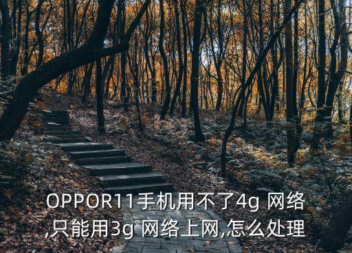 OPPOR11手機(jī)用不了4g 網(wǎng)絡(luò),只能用3g 網(wǎng)絡(luò)上網(wǎng),怎么處理