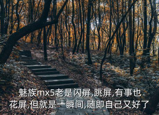 魅族屏幕亮度自動(dòng)調(diào)節(jié),蘋果13屏幕亮度自動(dòng)調(diào)節(jié)怎么關(guān)閉