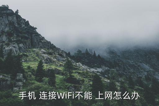 無法連接數(shù)據(jù)上網(wǎng)怎么辦,wifi連接無法上網(wǎng)怎么辦