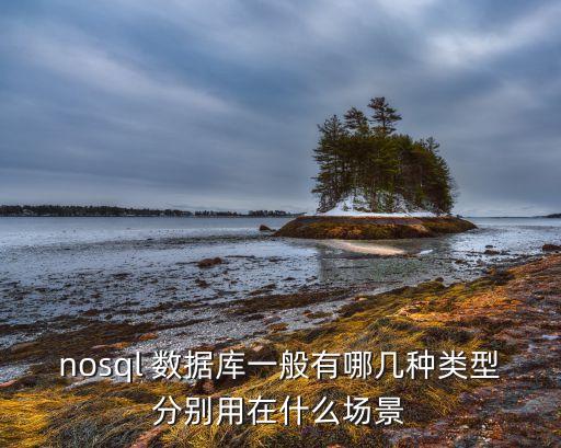 nosql 數(shù)據(jù)庫(kù)一般有哪幾種類型分別用在什么場(chǎng)景