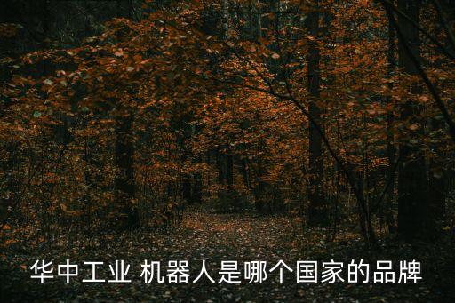 華中工業(yè) 機器人是哪個國家的品牌