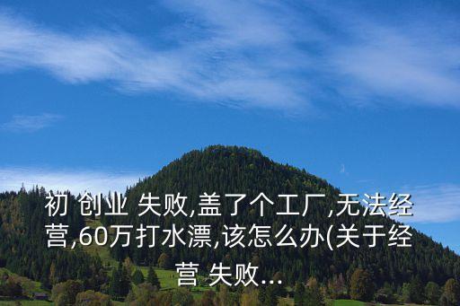 初 創(chuàng)業(yè) 失敗,蓋了個工廠,無法經(jīng)營,60萬打水漂,該怎么辦(關(guān)于經(jīng)營 失敗...
