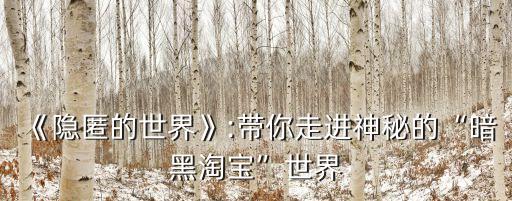 《隱匿的世界》:帶你走進神秘的“暗黑淘寶”世界