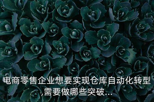 電商零售企業(yè)想要實(shí)現(xiàn)倉庫自動(dòng)化轉(zhuǎn)型,需要做哪些突破...