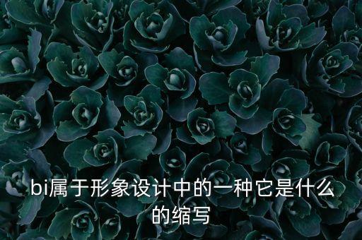  bi屬于形象設(shè)計(jì)中的一種它是什么的縮寫