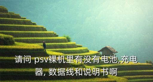 psv數(shù)據(jù)線是什么口,安卓數(shù)據(jù)線是什么口
