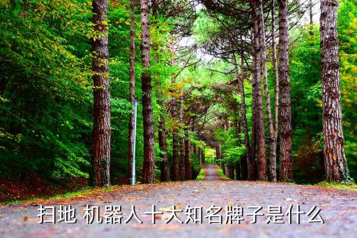 國(guó)外優(yōu)質(zhì)的掃地機(jī)器人有哪些,石頭掃地機(jī)器人 國(guó)外使用攻略
