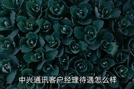  中興通訊客戶經(jīng)理待遇怎么樣