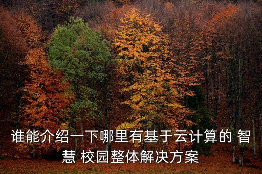 誰能介紹一下哪里有基于云計算的 智慧 校園整體解決方案