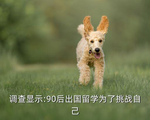 調(diào)查顯示:90后出國(guó)留學(xué)為了挑戰(zhàn)自己