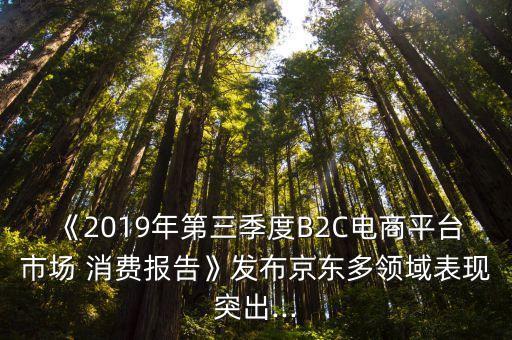 《2019年第三季度B2C電商平臺(tái)市場(chǎng) 消費(fèi)報(bào)告》發(fā)布京東多領(lǐng)域表現(xiàn)突出...
