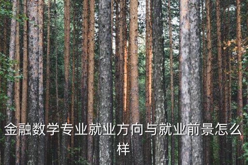 金融數學專業(yè)就業(yè)方向與就業(yè)前景怎么樣