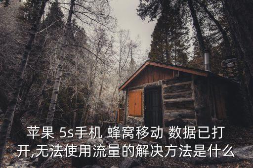 5s用不了蜂窩數(shù)據(jù),蘋果5s蜂窩移動數(shù)據(jù)怎么設(shè)置