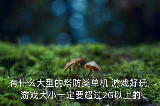 有什么大型的塔防類單機 游戲好玩, 游戲大小一定要超過2G以上的