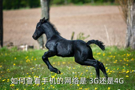 數(shù)據(jù)連接這么顯示3G,手機顯示數(shù)據(jù)連接為啥還是沒網(wǎng)絡(luò)