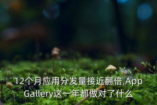 12個(gè)月應(yīng)用分發(fā)量接近翻倍,AppGallery這一年都做對(duì)了什么