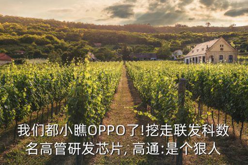 oppo 高通 人像數(shù)據(jù)庫