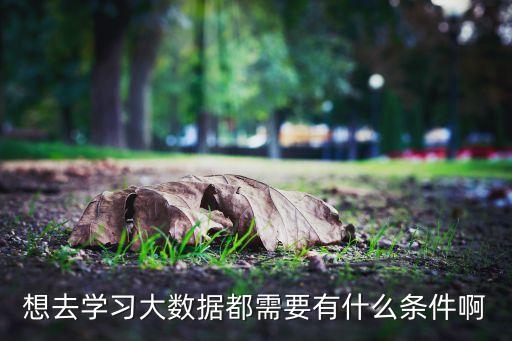 怎樣能學(xué)好大數(shù)據(jù)庫,如何學(xué)好mysql數(shù)據(jù)庫