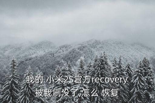 我的 小米2S官方recovery被我刷沒了,怎么 恢復(fù)