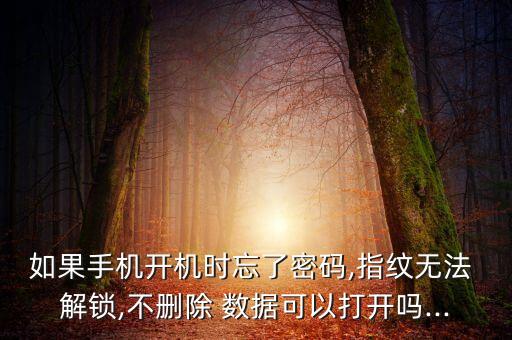 如果手機(jī)開機(jī)時(shí)忘了密碼,指紋無(wú)法 解鎖,不刪除 數(shù)據(jù)可以打開嗎...
