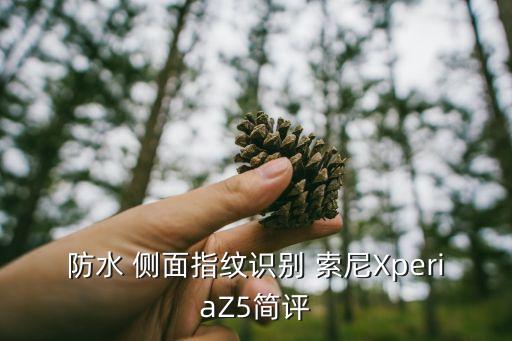 防水 側(cè)面指紋識別 索尼XperiaZ5簡評