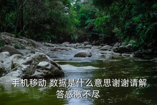什么是手機(jī)數(shù)據(jù)功能是什么,手機(jī)數(shù)據(jù)漫游功能有什么用
