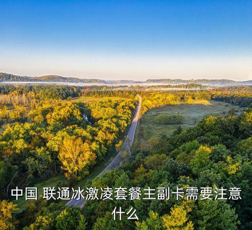 中國(guó) 聯(lián)通冰激凌套餐主副卡需要注意什么