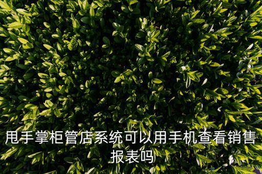 甩手掌柜管店系統(tǒng)可以用手機(jī)查看銷售 報表嗎