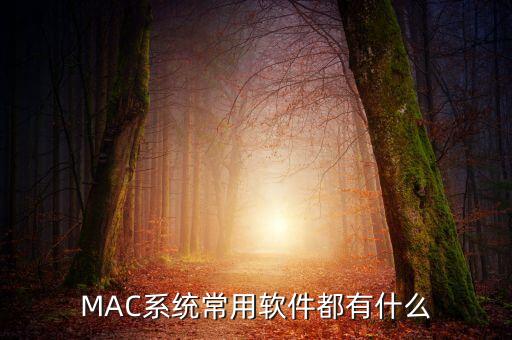 有道詞典 數(shù)據(jù)庫