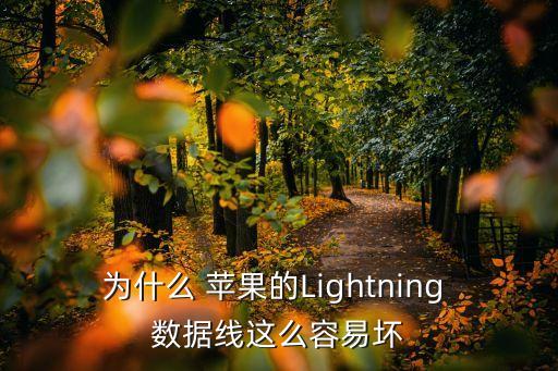 蘋果手機數(shù)據(jù)線脫皮