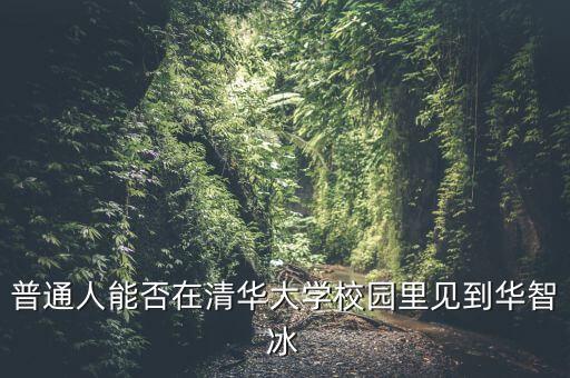 普通人能否在清華大學(xué)校園里見到華智冰