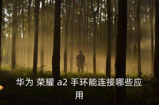 榮耀手環(huán)a2能儲存幾組數(shù)據(jù),榮耀a2手環(huán)使用說明