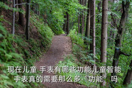 現(xiàn)在兒童 手表有哪些功能兒童智能 手表真的需要那么多“功能”嗎