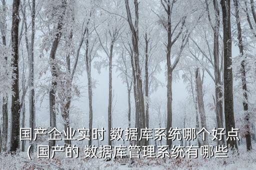 國(guó)產(chǎn)企業(yè)實(shí)時(shí) 數(shù)據(jù)庫(kù)系統(tǒng)哪個(gè)好點(diǎn)( 國(guó)產(chǎn)的 數(shù)據(jù)庫(kù)管理系統(tǒng)有哪些