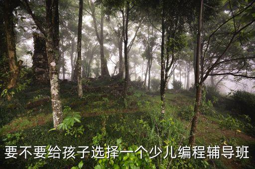 要不要給孩子選擇一個少兒編程輔導(dǎo)班