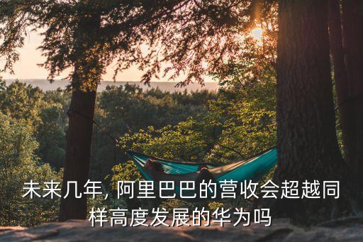 阿里巴巴近三年的數(shù)據(jù)