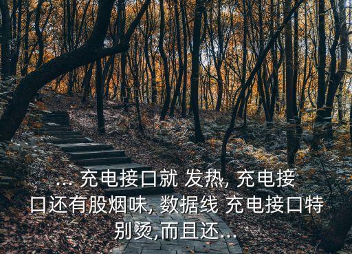數(shù)據(jù)線發(fā)熱不充電,手機充電數(shù)據(jù)線發(fā)熱很燙 什么原因