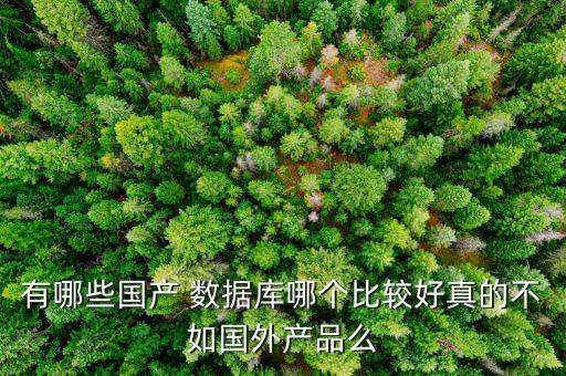 有哪些國(guó)產(chǎn) 數(shù)據(jù)庫(kù)哪個(gè)比較好真的不如國(guó)外產(chǎn)品么