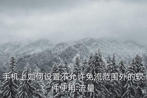 手機(jī)上如何設(shè)置不允許免流范圍外的軟件使用 流量