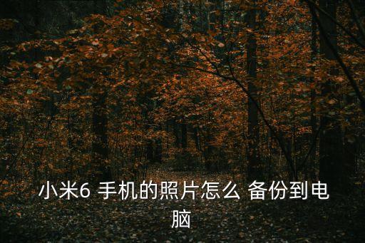 小米6手機(jī)數(shù)據(jù)備份,小米手機(jī)6.1英寸