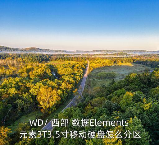 WD/ 西部 數(shù)據(jù)Elements 元素3T3.5寸移動(dòng)硬盤怎么分區(qū)