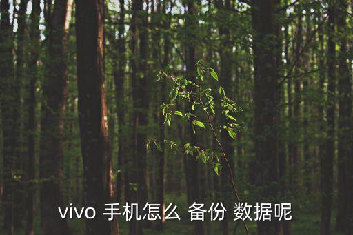 如何備份手機(jī)系統(tǒng)數(shù)據(jù)備份,華為手機(jī)怎么關(guān)閉系統(tǒng)數(shù)據(jù)備份