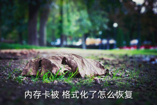 格式化所有數(shù)據(jù)被刪除,要格式化的媒體已被刪除或已無效
