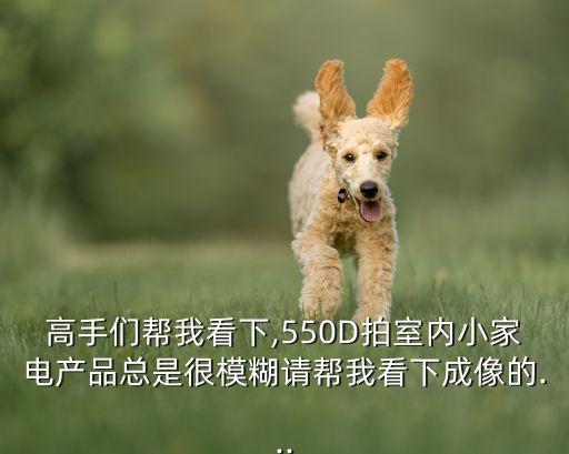 高手們幫我看下,550D拍室內(nèi)小家電產(chǎn)品總是很模糊請幫我看下成像的...