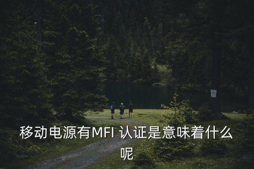 mfi認(rèn)證的數(shù)據(jù)線(xiàn)是什么意思,MFI認(rèn)證是什么意思