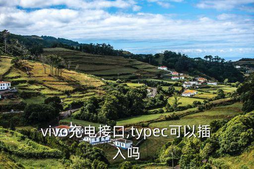 vivo充電接口,typec可以插入嗎